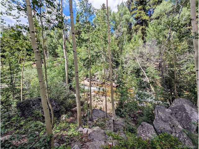 23795 County Road 162, Nathrop, CO 81236