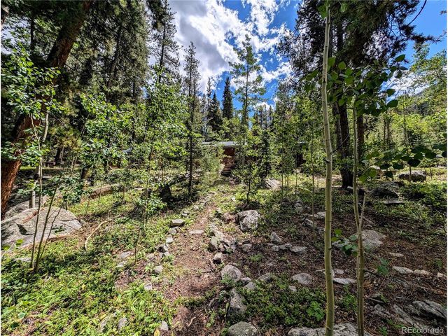 23795 County Road 162, Nathrop, CO 81236