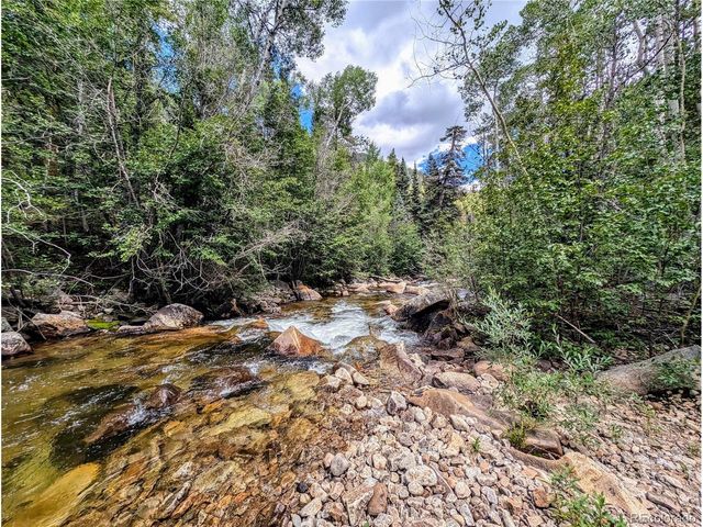 23795 County Road 162, Nathrop, CO 81236