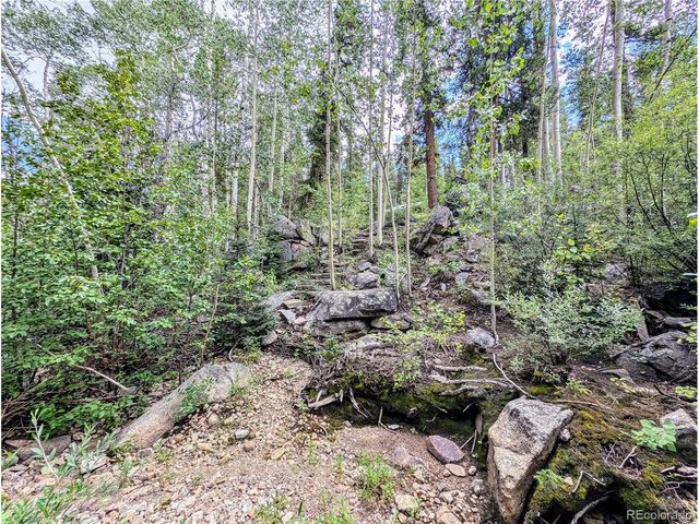 23795 County Road 162, Nathrop, CO 81236