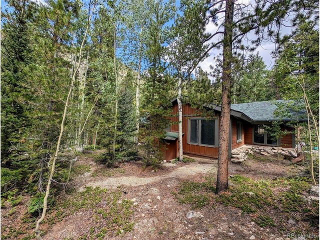 23795 County Road 162, Nathrop, CO 81236