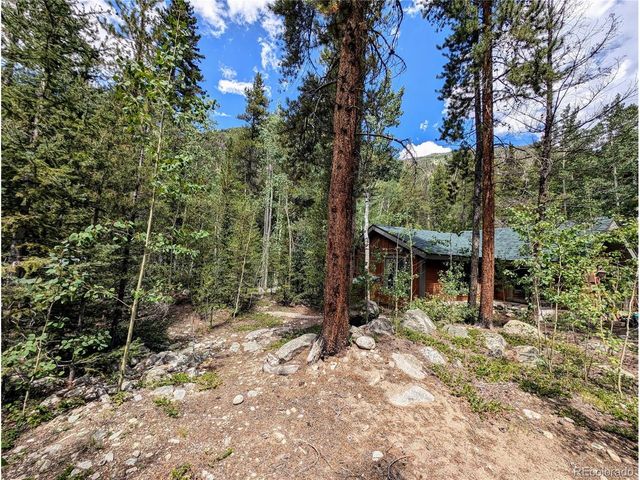 23795 County Road 162, Nathrop, CO 81236