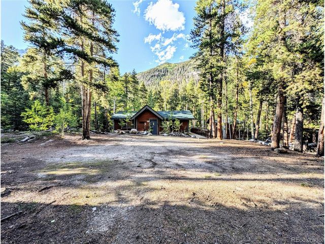 23795 County Road 162, Nathrop, CO 81236