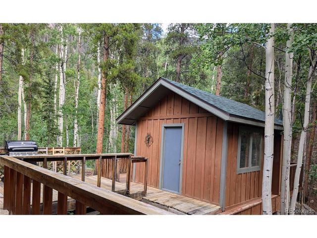 23795 County Road 162, Nathrop, CO 81236