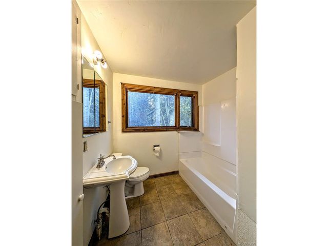 23795 County Road 162, Nathrop, CO 81236