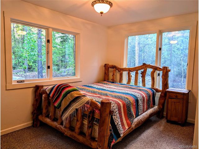 23795 County Road 162, Nathrop, CO 81236