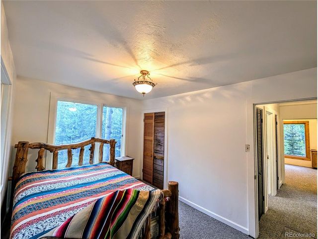 23795 County Road 162, Nathrop, CO 81236