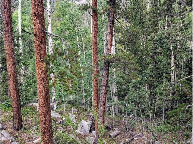 23795 County Road 162, Nathrop, CO 81236