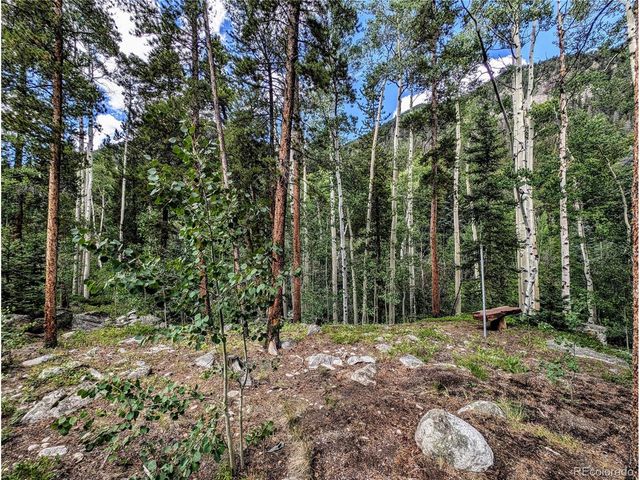 23795 County Road 162, Nathrop, CO 81236