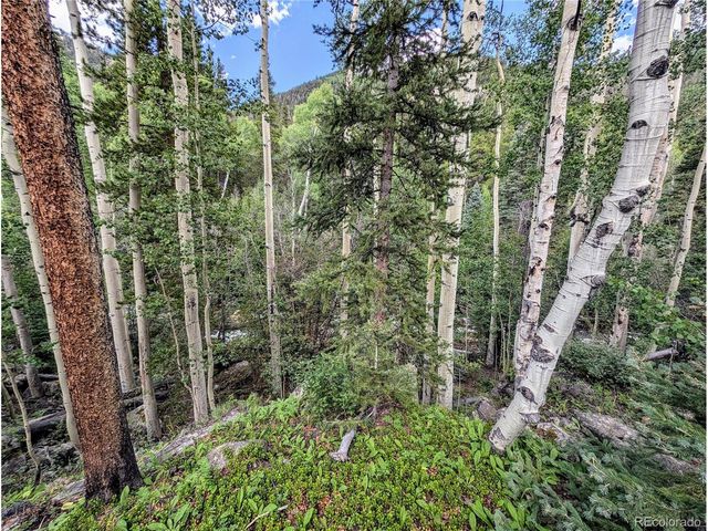 23795 County Road 162, Nathrop, CO 81236