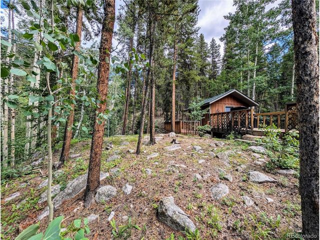 23795 County Road 162, Nathrop, CO 81236