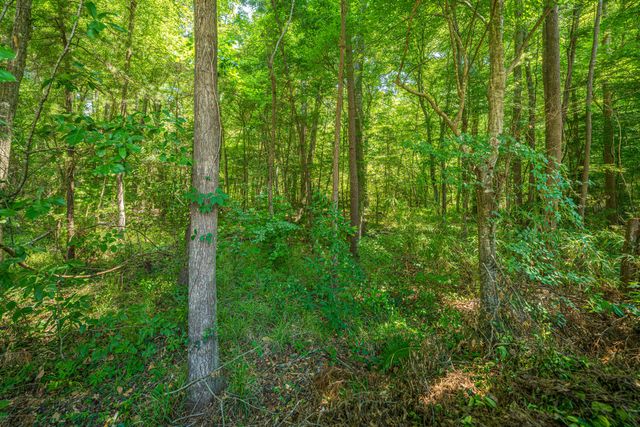 9484 Falling Embers Lane, Ladson, SC 29456