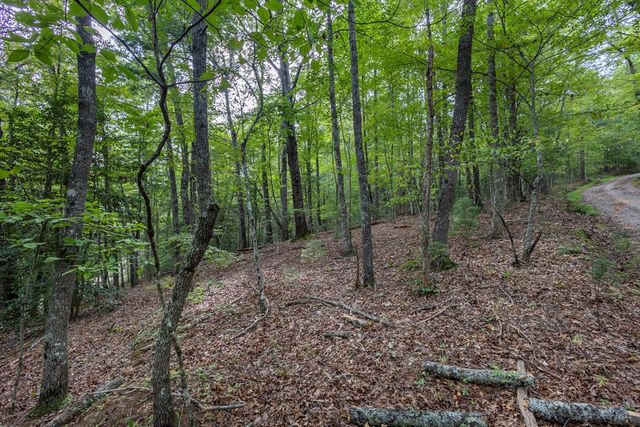 2 AC Horvath Road, Murphy, NC 28906