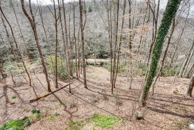 575 Carolina Springs Lane, Franklin, NC 28734