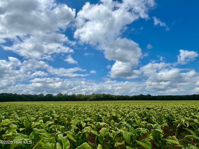 9426 Byron Court Lot 210, Bailey, NC 27807