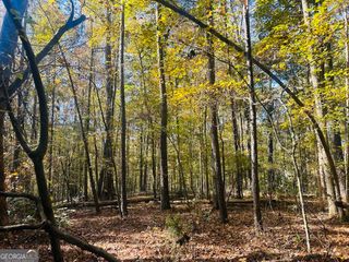0 Stream View Drive LOT 19, Conyers, GA 30013