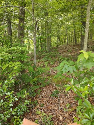 335 Healing Springs Drive, Denton, NC 27239