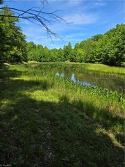 335 Healing Springs Drive, Denton, NC 27239