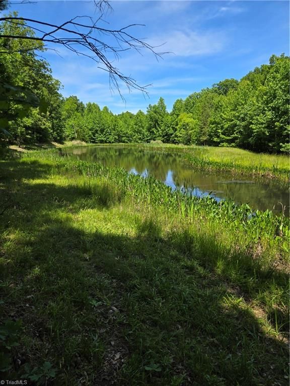 335 Healing Springs Drive, Denton, NC 27239