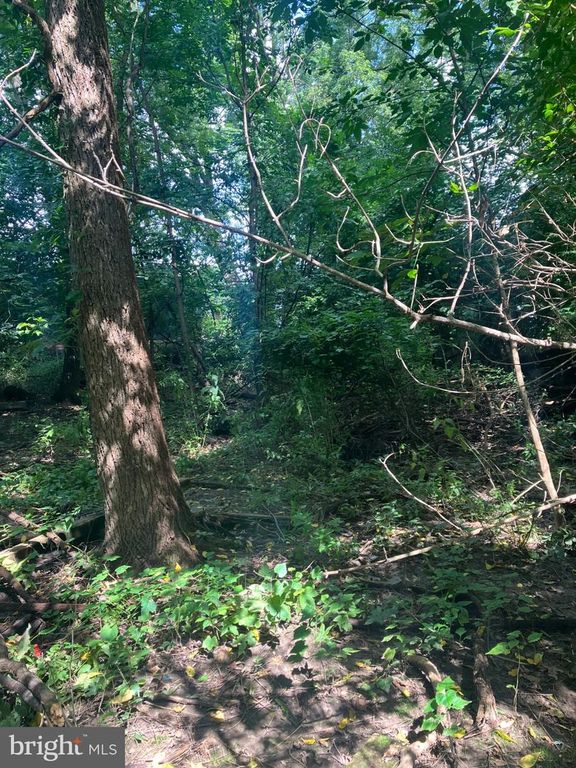 51 BUTTONWOOD, NEW CASTLE, DE 19720 — photo 4
