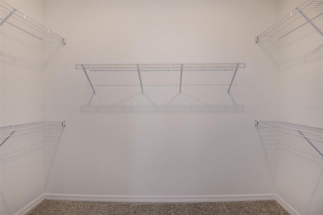 9875 HICKORY PINES AVENUE, Riverview, FL 33578