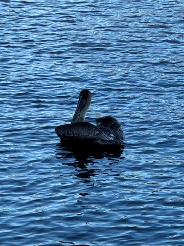 650 Snug Harbor Drive G301, Boynton Beach, FL 33435