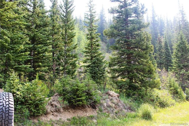 01 Miners Road, Idaho Springs, CO 80461