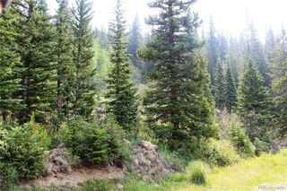 01 Miners Road, Idaho Springs, CO 80461