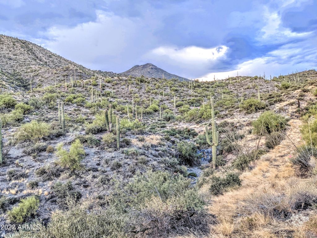 41347 N Longhorn Drive 11, Scottsdale, AZ 85262 — photo 5