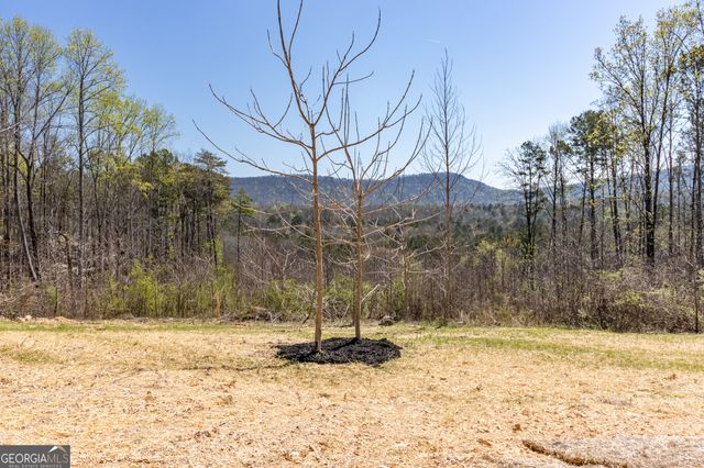 456 N Ridge Estates, Trion, GA 30753