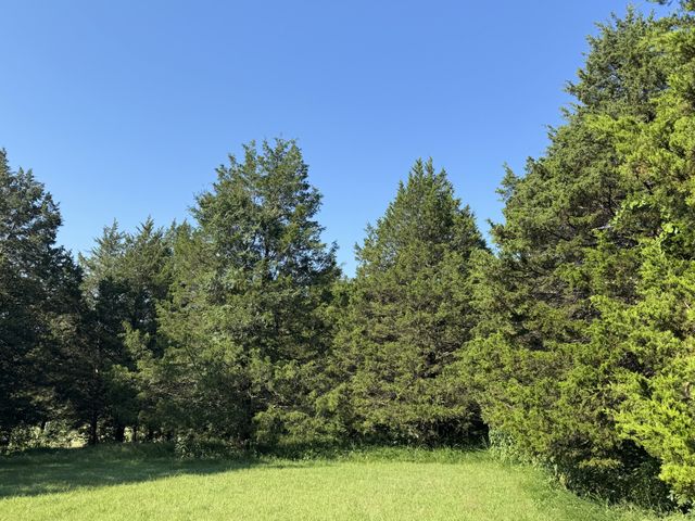 0 Lunns Store Rd, Chapel Hill, TN 37034