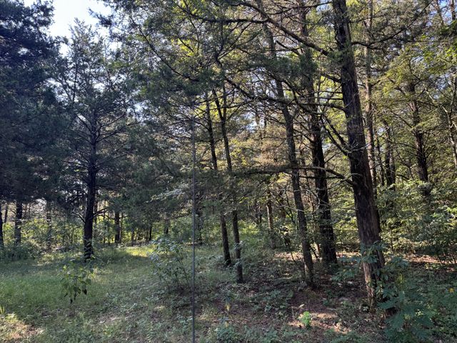 0 Lunns Store Rd, Chapel Hill, TN 37034