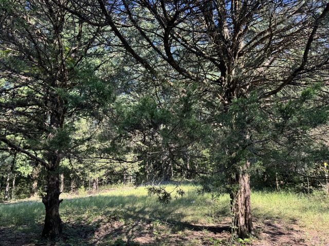 0 Lunns Store Rd, Chapel Hill, TN 37034