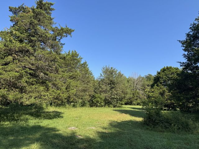 0 Lunns Store Rd, Chapel Hill, TN 37034