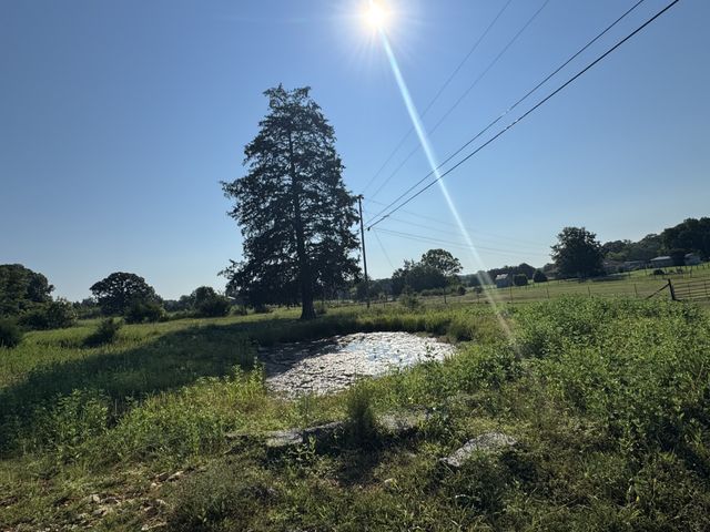 0 Lunns Store Rd, Chapel Hill, TN 37034