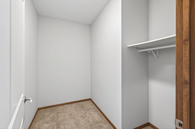 9155 Wild Plum Drive, Chisago City, MN 55013