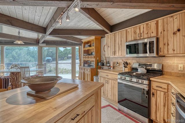 16695 County Road 162, Nathrop, CO 81236