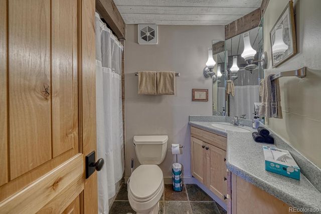 16695 County Road 162, Nathrop, CO 81236