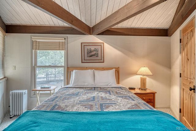 16695 County Road 162, Nathrop, CO 81236