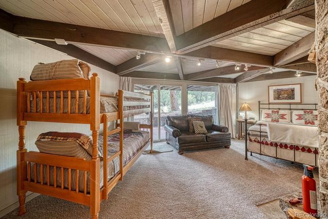 16695 County Road 162, Nathrop, CO 81236