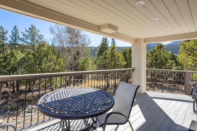 16695 County Road 162, Nathrop, CO 81236