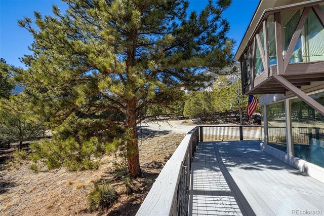 16695 County Road 162, Nathrop, CO 81236