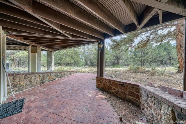 16695 County Road 162, Nathrop, CO 81236