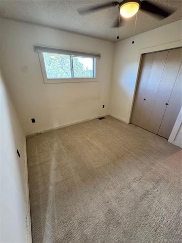16695 County Road 162, Nathrop, CO 81236