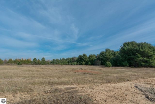 0000 E Bellinger Road, Cedar, MI 49621