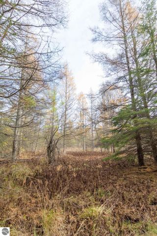 0000 E Bellinger Road, Cedar, MI 49621