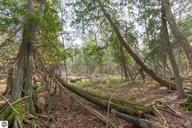 0000 E Bellinger Road, Cedar, MI 49621