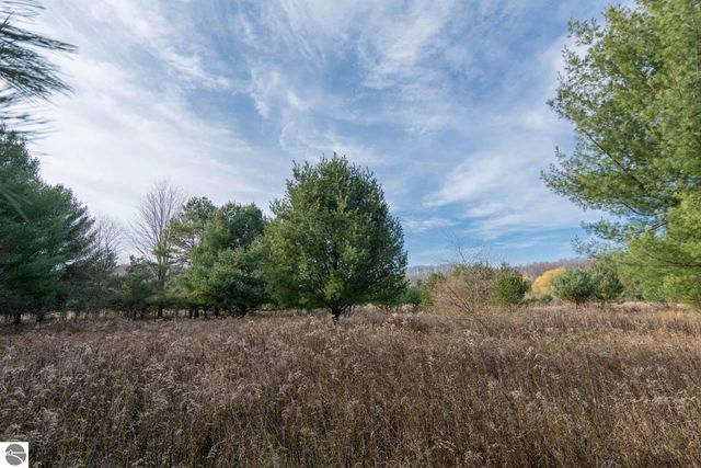 0000 E Bellinger Road, Cedar, MI 49621