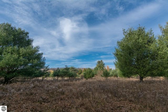 0000 E Bellinger Road, Cedar, MI 49621