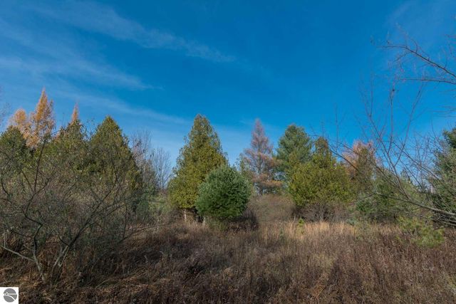 0000 E Bellinger Road, Cedar, MI 49621